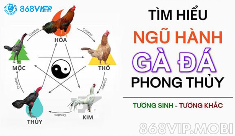 Một số lưu ý khi bạn coi màu mạng gà đá Một số lưu ý khi bạn coi màu mạng gà đá