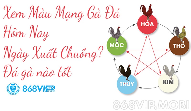 Xem màu mạng gà đá sẽ giúp nâng cao cơ hội chiến thắng Xem màu mạng gà đá sẽ giúp nâng cao cơ hội chiến thắng